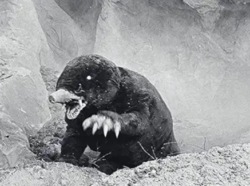 【更新】モグラ怪獣モングラーが登場したウルトラＱの第８話「甘い蜜の恐怖」の思い出