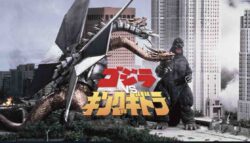 これがゴジラ女子の部屋か・・・・